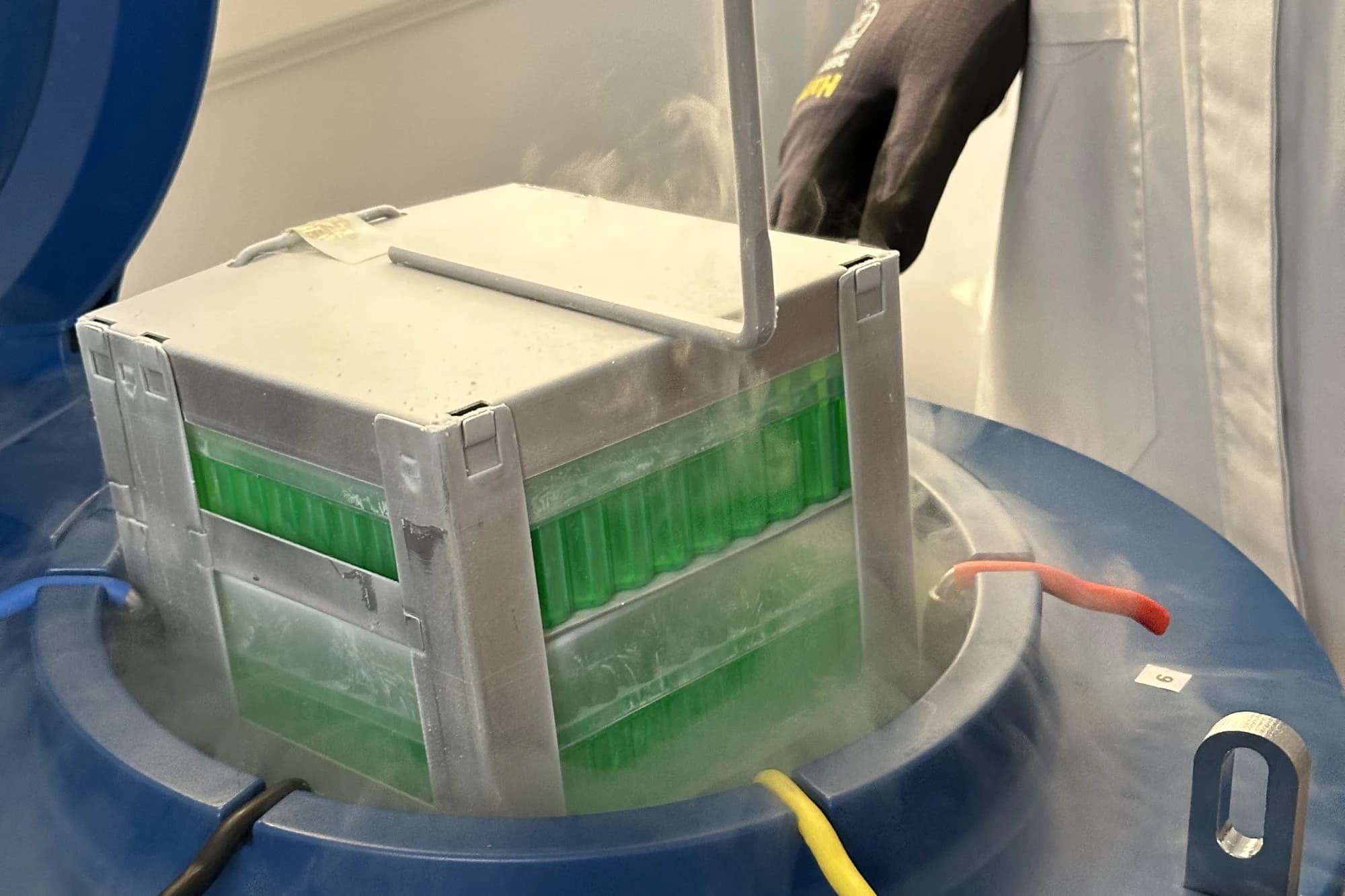 A laboratory technician lifting a canister of donor sperm straws out of a liquid-nitrogen storage tank